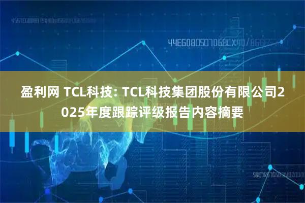 盈利网 TCL科技: TCL科技集团股份有限公司2025年度跟踪评级报告内容摘要