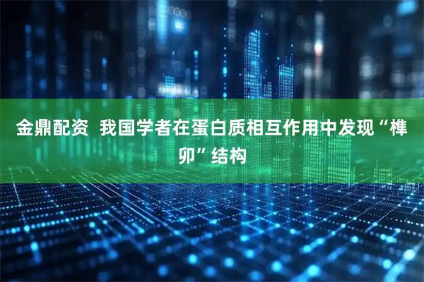金鼎配资  我国学者在蛋白质相互作用中发现“榫卯”结构