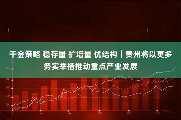千金策略 稳存量 扩增量 优结构｜贵州将以更多务实举措推动重点产业发展