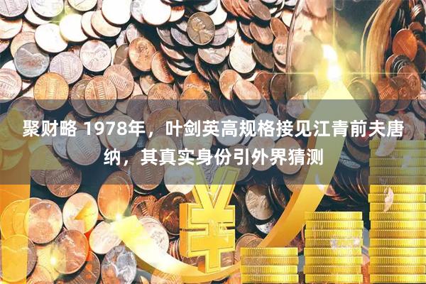 聚财略 1978年，叶剑英高规格接见江青前夫唐纳，其真实身份引外界猜测